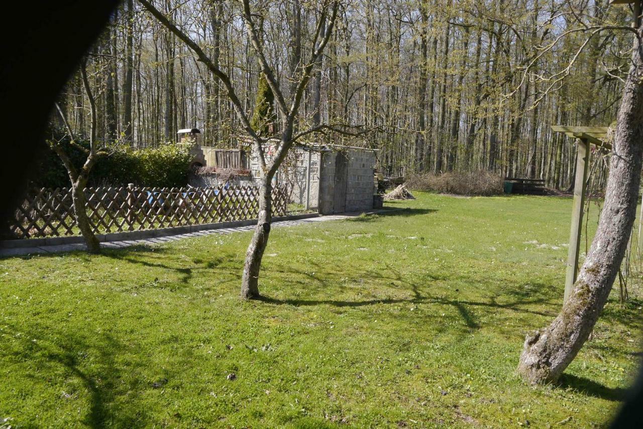 Wohnung 1 Nienhagen Zewnętrze zdjęcie
